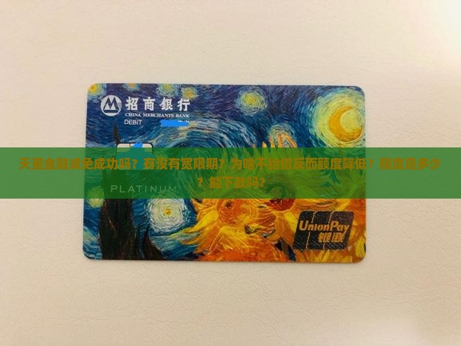 天星金融减免成功吗