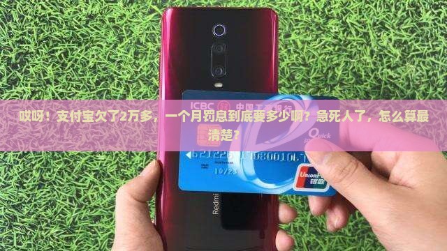 支付宝逾期2万多一月罚息是多少