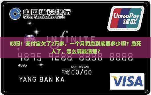 支付宝逾期2万多一月罚息是多少