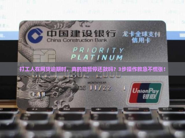 网贷可以暂停还款吗怎么操作的