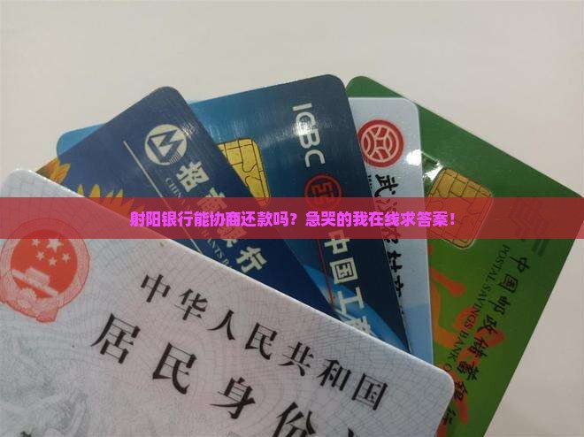 射阳银行可以协商还款吗的解释