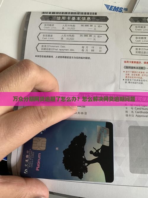 万众分期网贷逾期了怎么办怎么办