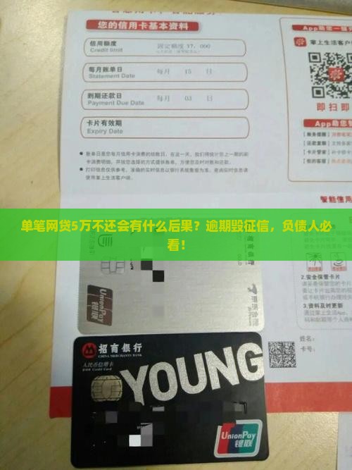 单笔网贷5万不还会有什么后果