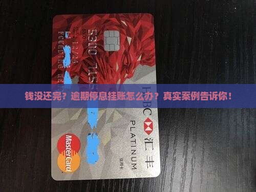 借款逾期停息挂账案例解析