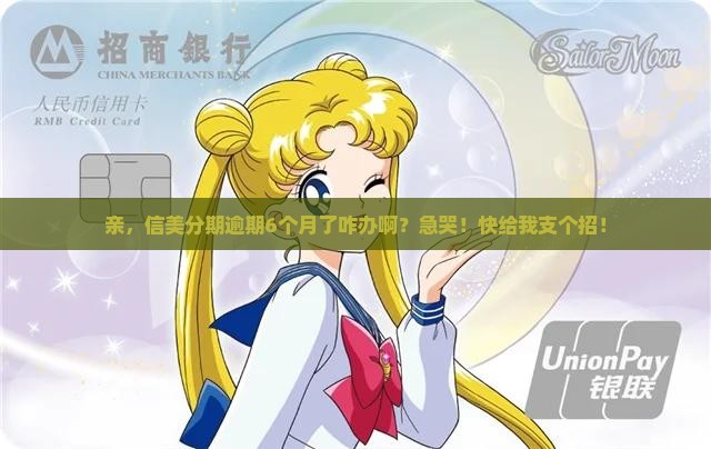 信美分期逾期6个月了怎么办