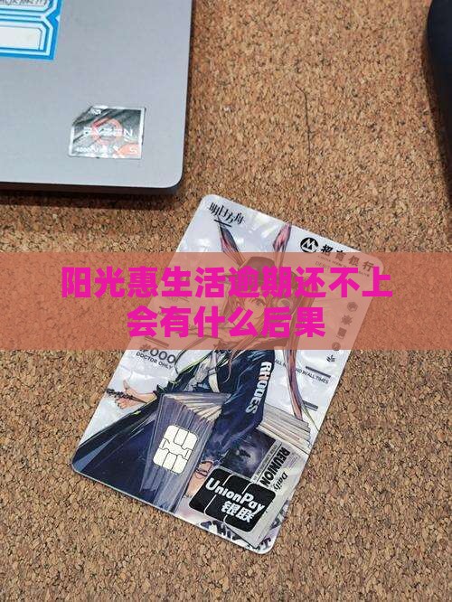 阳光惠生活还不上后果