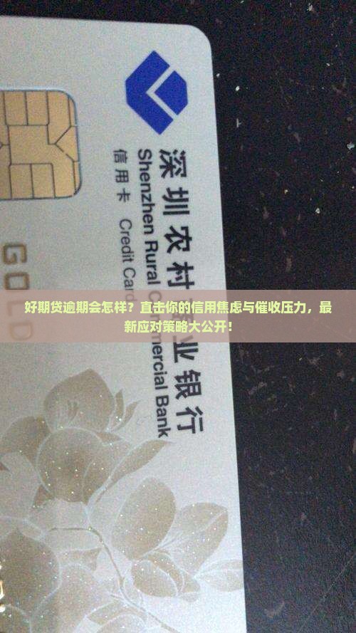 好期贷逾期的后果及如何应对