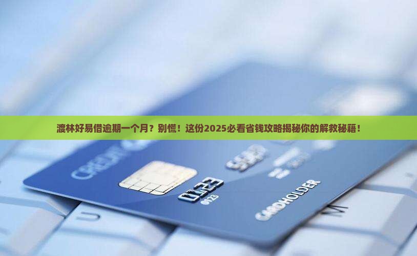 渡林好易借逾期一个月应该怎么办