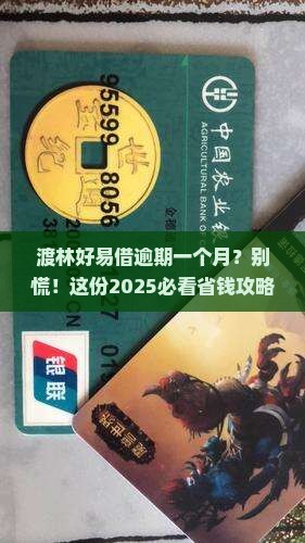 渡林好易借逾期一个月应该怎么办