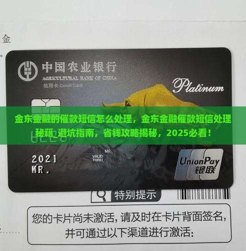 金东金融的催款短信怎么处理