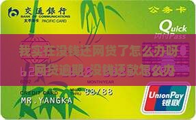 我实在没钱还网贷了怎么办呀