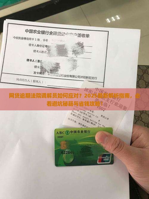 网贷逾期法院调解员