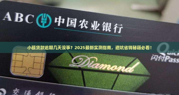小额贷款一般可以逾期几天