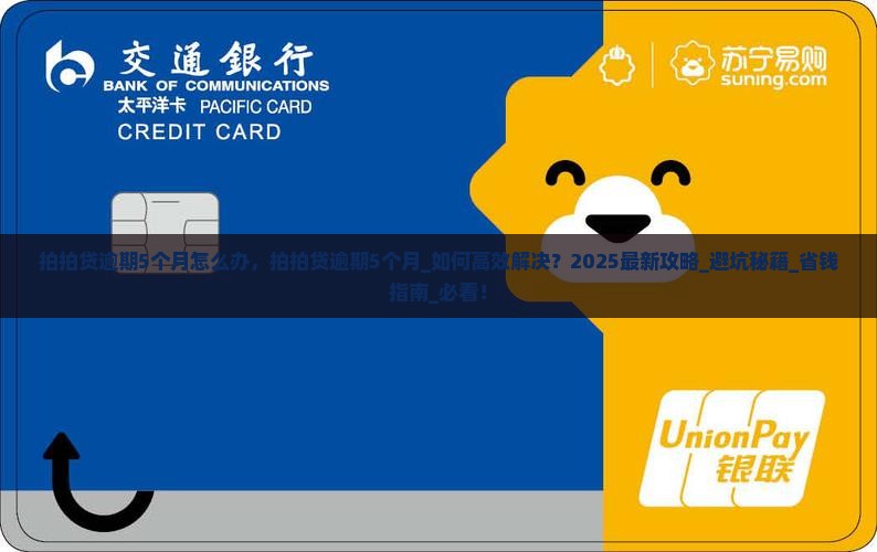 拍拍贷逾期5个月怎么办