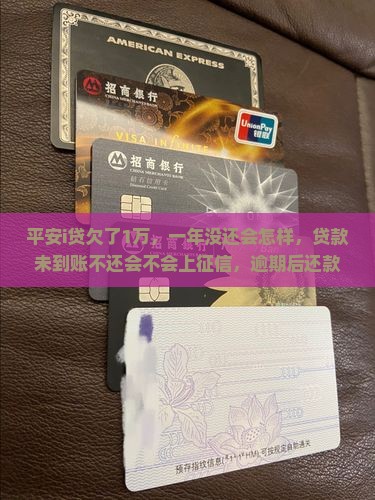 平安i贷欠了1万
