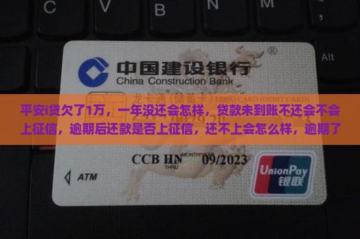平安i贷欠了1万