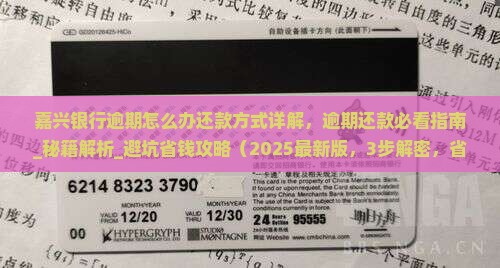 嘉兴银行逾期怎么办还款方式详解