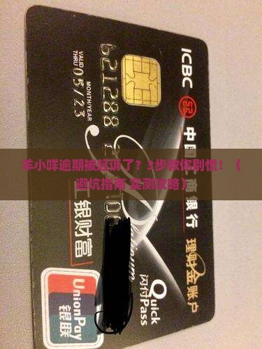 羊小咩逾期被起诉了怎么处理