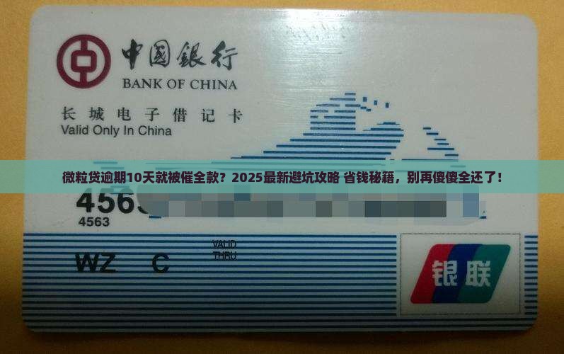 微粒贷逾期10天催收让还全款怎么办