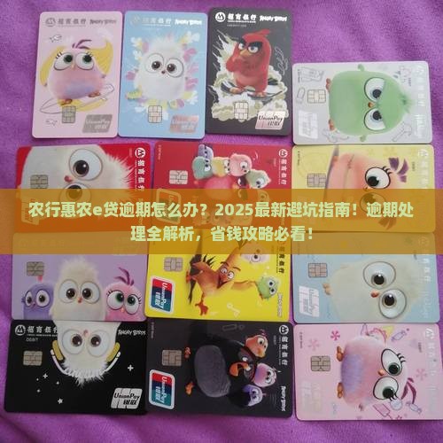 农行惠农e贷逾期怎么办理