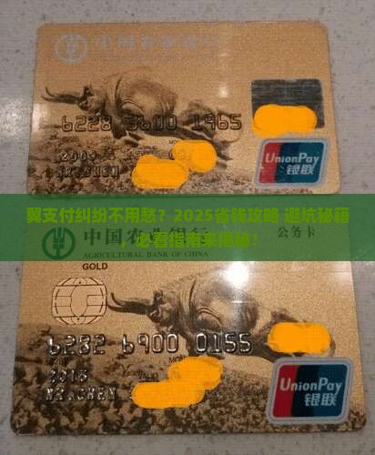 翼支付纠纷处理指南