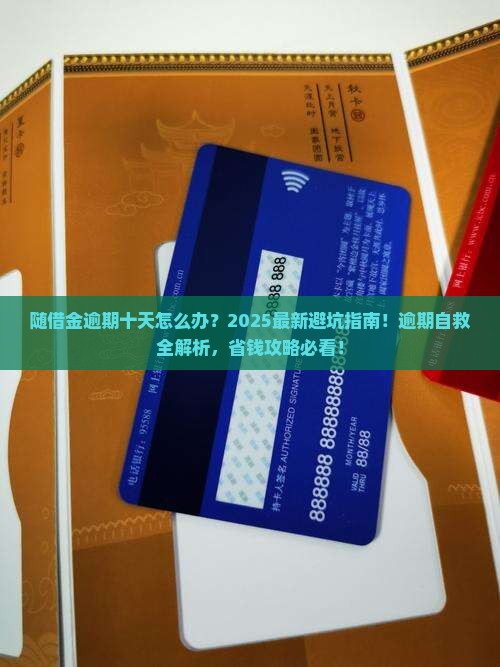 随借金逾期十天如何处理