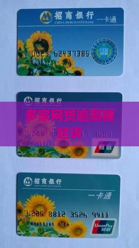 多家网贷逾期被起诉