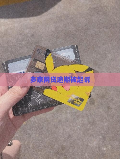 多家网贷逾期被起诉