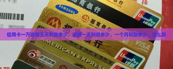 信用卡一万逾期五天利息多少