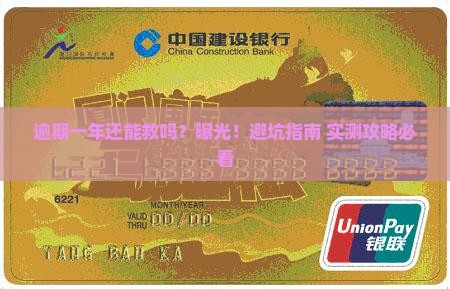 羊小咩逾期一年如何处理