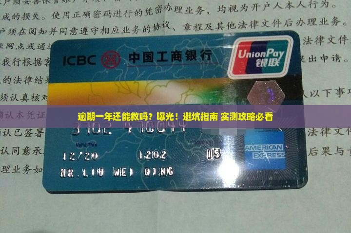 羊小咩逾期一年如何处理