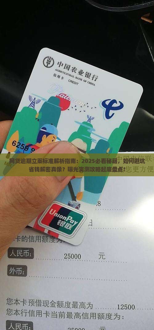 网贷逾期立案标准解读