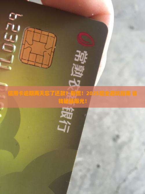 信用卡逾期两天忘了还款怎么办