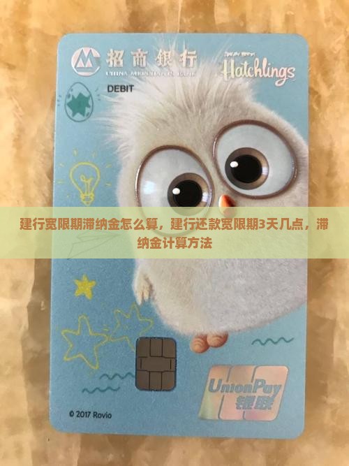 建行宽限期滞纳金怎么算