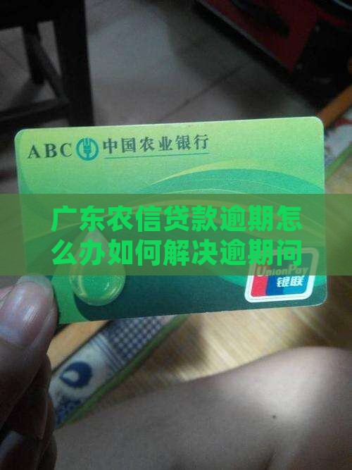广东农信贷款逾期怎么办如何解决逾期问题