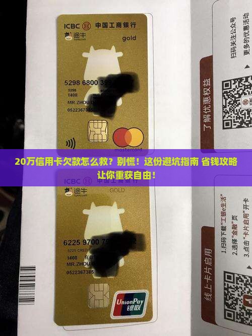 信用卡20万欠款如何解决