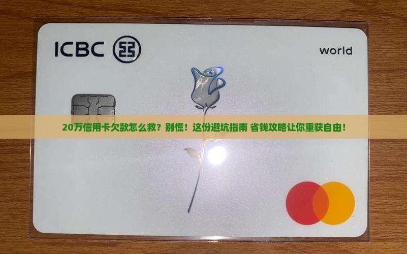 信用卡20万欠款如何解决