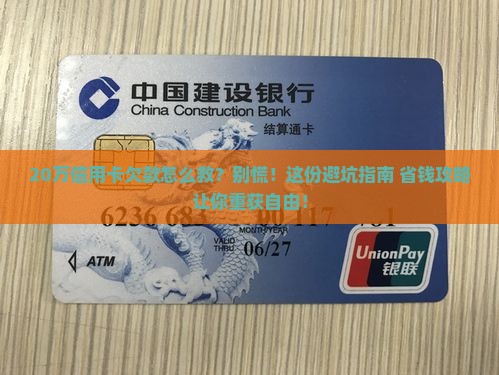 信用卡20万欠款如何解决