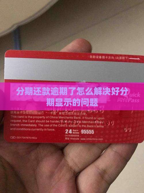 好分期如何解决按时还款显示逾期的问题