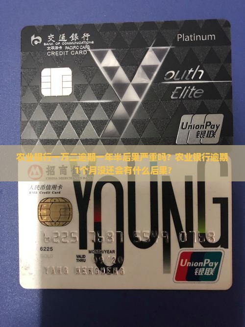 农业银行一万二逾期一年半后果严重吗