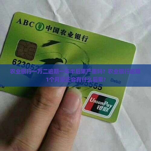 农业银行一万二逾期一年半后果严重吗