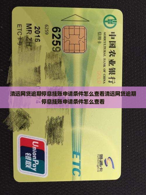 清远网贷逾期停息挂账申请条件怎么查看