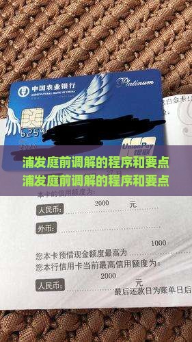 浦发庭前调解的程序和要点