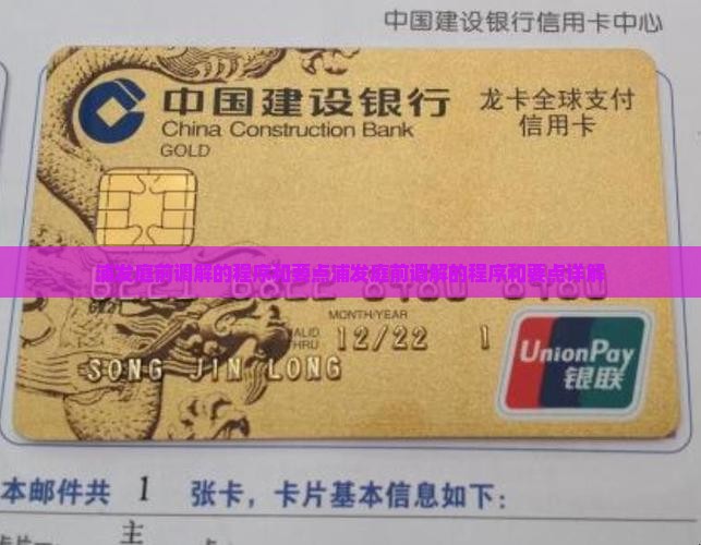 浦发庭前调解的程序和要点