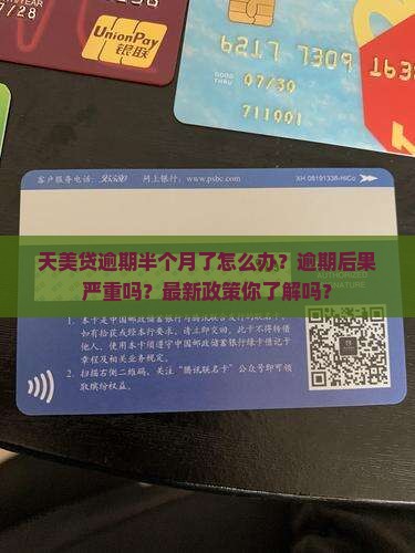 天美贷逾期半个月了怎么办