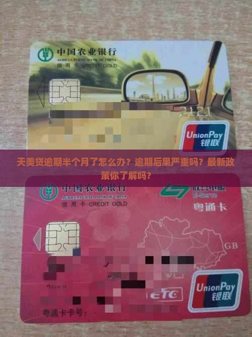 天美贷逾期半个月了怎么办
