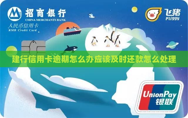 建行快贷信用卡逾期怎么办应该及时还款
