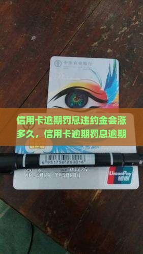 信用卡逾期罚息违约金会涨多久