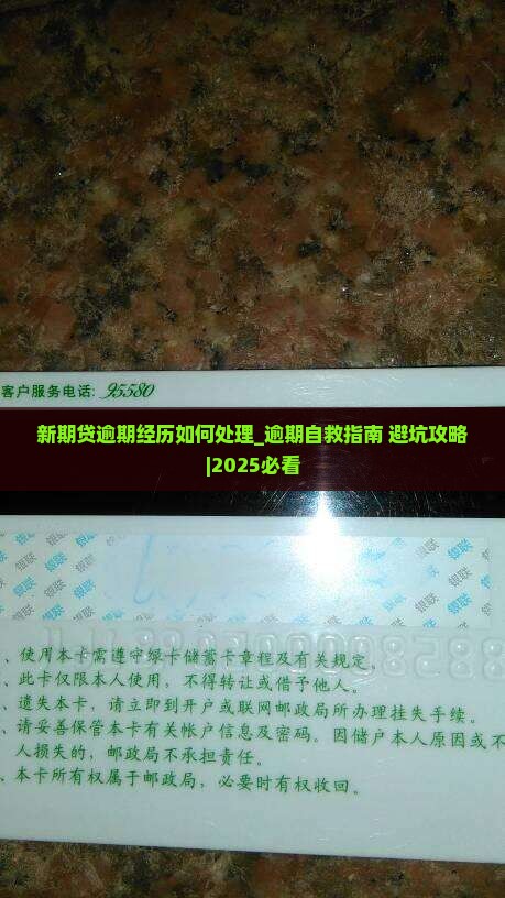 新期贷逾期经历如何处理