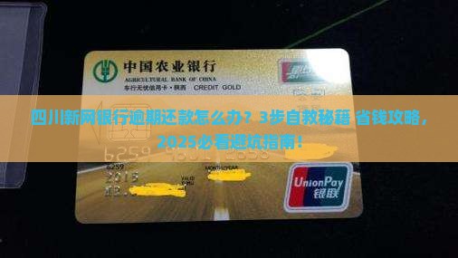 四川新网银行逾期还款应该怎么处理